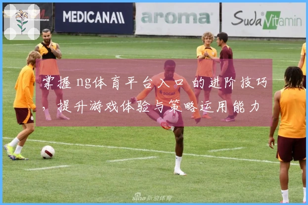 掌握 ng体育平台入口 的进阶技巧，提升游戏体验与策略运用能力